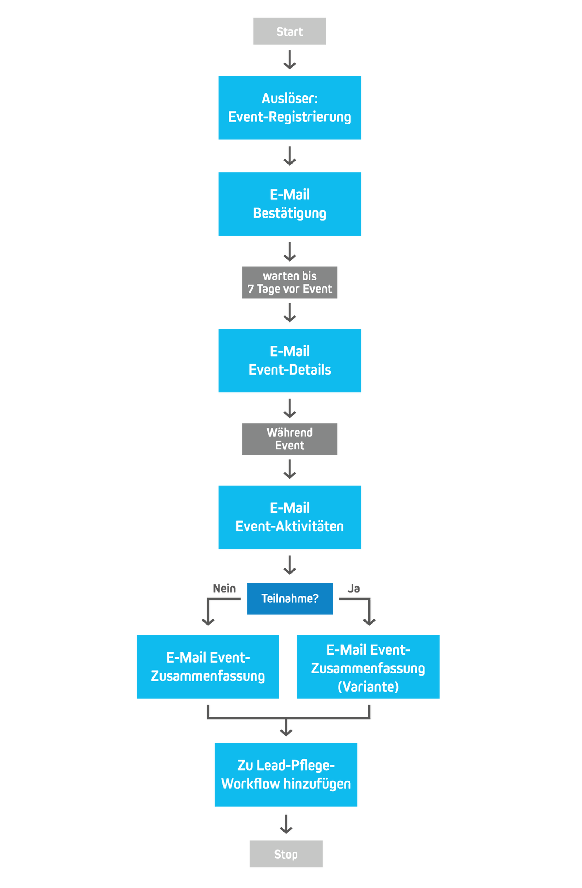 Die 7 wichtigsten Marketing Automation Workflows
